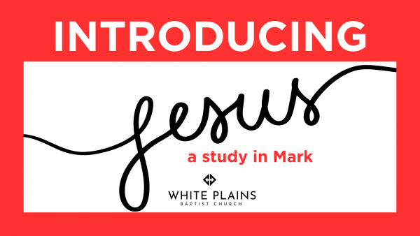 Introducing Jesus