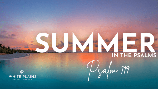 Summer in the Psalms - Psalm 119